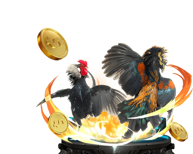 Video slot với đồ họa hiện đại và nhiều đường thanh toán